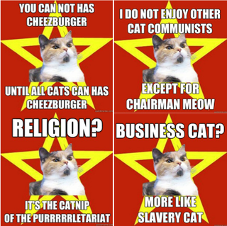 Illustration for article titled What is your favorite lolcat of all time?